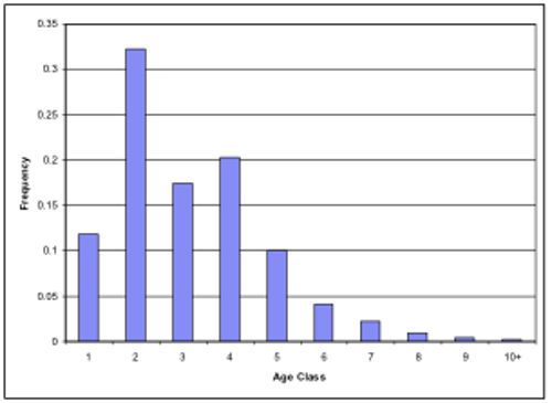 Age Composition of Sailfish in the EPO