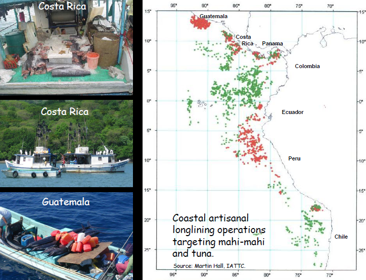 Coastal Longline Distribution